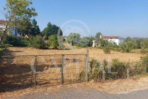Helårsgrund i Arganil, Coimbra, Arganil - € 29.500 | Ref: 65696 - foto 5