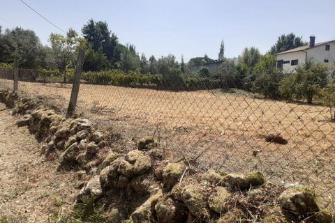 Helårsgrund i Arganil, Coimbra, Arganil - € 29.500 | Ref: 65696 - foto 6