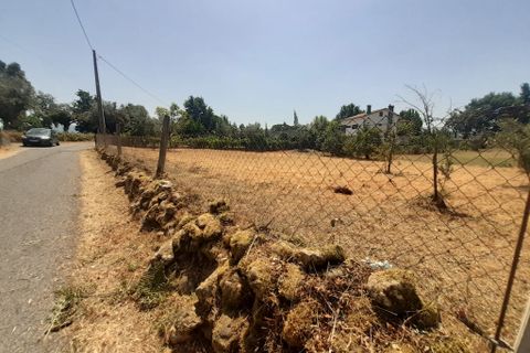 Helårsgrund i Arganil, Coimbra, Arganil - € 29.500 | Ref: 65696 - foto 7