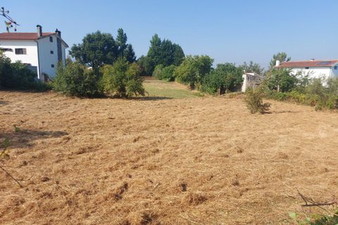 Helårsgrund i Arganil, Coimbra, Arganil - € 29.500 | Ref: 65696 - foto 9