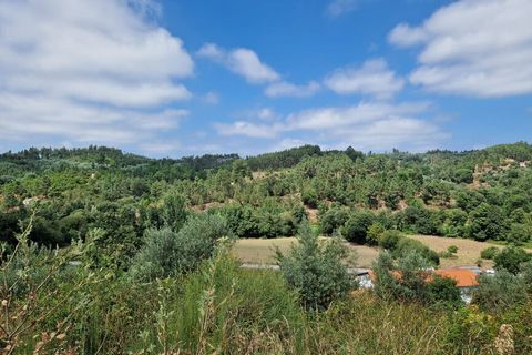 Terra a Tabua, Coimbra, Tabua - € 34.500 | Ref: 61668 - foto 2