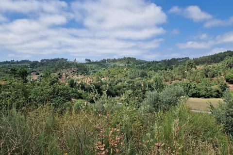 Terra a Tabua, Coimbra, Tabua - € 34.500 | Ref: 61668 - foto 3