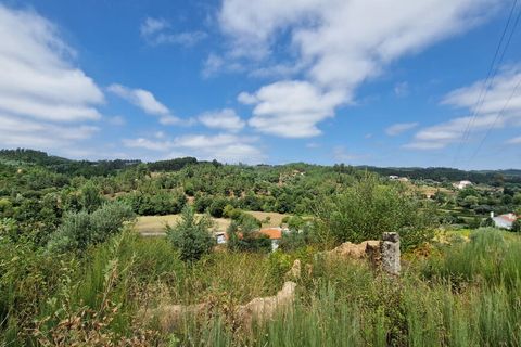 Terra a Tabua, Coimbra, Tabua - € 34.500 | Ref: 61668 - foto 4
