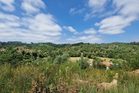 Terra a Tabua, Coimbra, Tabua - € 34.500 | Ref: 61668 - foto 5