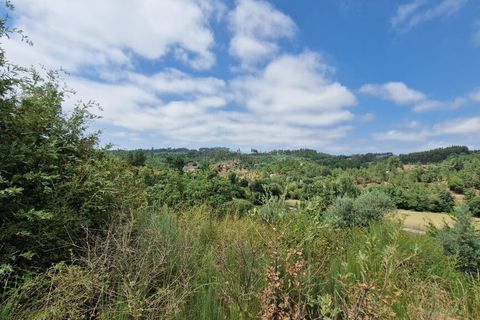 Terra a Tabua, Coimbra, Tabua - € 34.500 | Ref: 61668 - foto 6