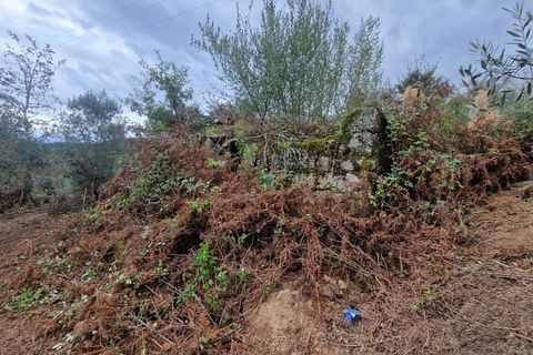Terra a Tabua, Coimbra, Tabua - € 34.500 | Ref: 61668 - foto 8