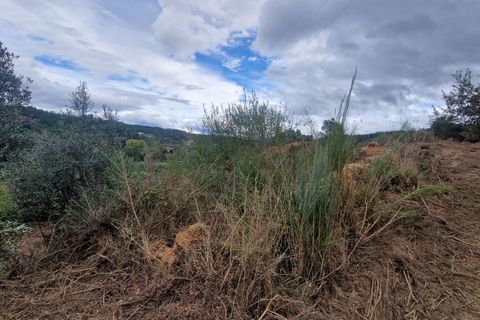 Terra a Tabua, Coimbra, Tabua - € 34.500 | Ref: 61668 - foto 10