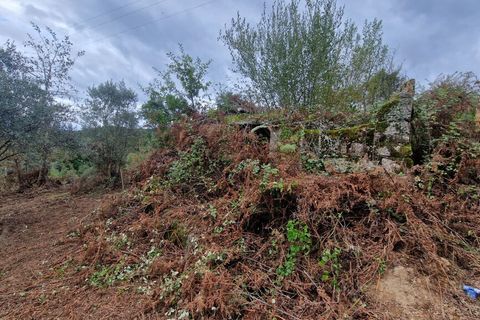 Terra a Tabua, Coimbra, Tabua - € 34.500 | Ref: 61668 - foto 12