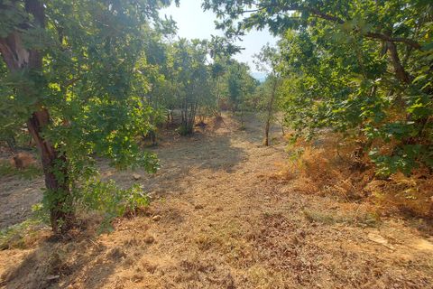 Helårsgrund i Arganil, Coimbra, Arganil - € 22.500 | Ref: 65848 - foto 3