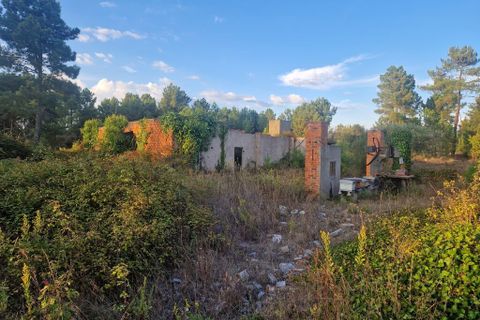 Helårsgrund i Tabua, Coimbra, Tabua - € 59.000 | Ref: 57287 - foto 7