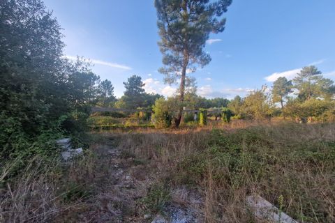 Helårsgrund i Tabua, Coimbra, Tabua - € 59.000 | Ref: 57287 - foto 8