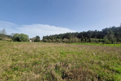 Helårsgrund i Tabua, Coimbra, Tabua - € 35.000 | Ref: 59969 - foto 2