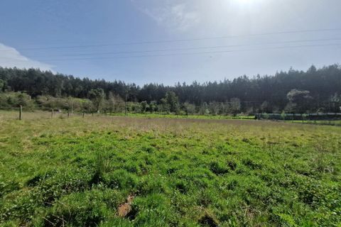 Helårsgrund i Tabua, Coimbra, Tabua - € 35.000 | Ref: 59969 - foto 3