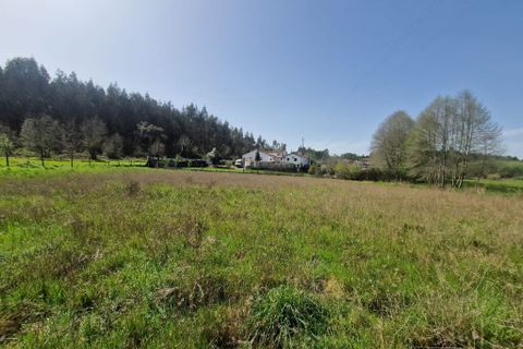 Helårsgrund i Tabua, Coimbra, Tabua - € 35.000 | Ref: 59969 - foto 4