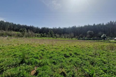 Helårsgrund i Tabua, Coimbra, Tabua - € 35.000 | Ref: 59969 - foto 5