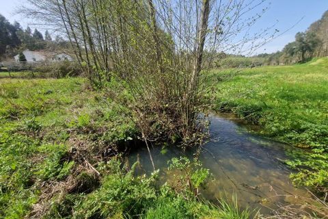 Helårsgrund i Tabua, Coimbra, Tabua - € 35.000 | Ref: 59969 - foto 7