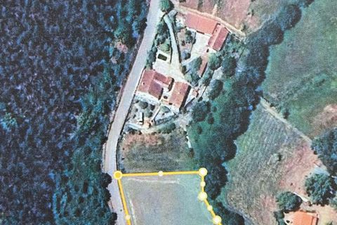 Helårsgrund i Tabua, Coimbra, Tabua - € 35.000 | Ref: 59969 - foto 9