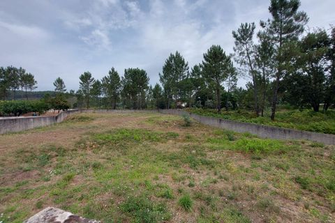 Helårsgrund i Arganil, Coimbra, Arganil - € 32.500 | Ref: 61604 - foto 4