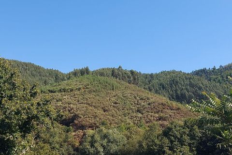 Terra a Arganil, Coimbra, Arganil - € 13.000 | Ref: 65800 - foto 2