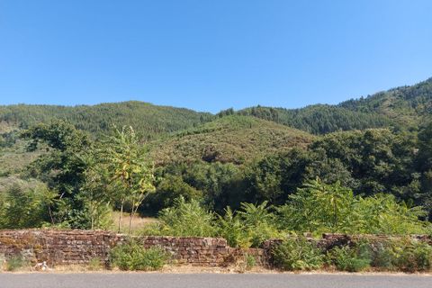 Terra a Arganil, Coimbra, Arganil - € 13.000 | Ref: 65800 - foto 4