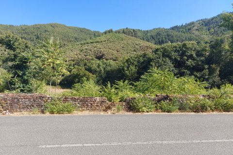 Terra a Arganil, Coimbra, Arganil - € 13.000 | Ref: 65800 - foto 5