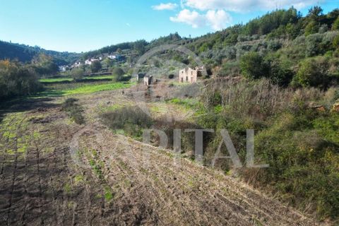 Helårsgrund i Arganil, Coimbra, Arganil - € 148.000 | Ref: 70039 - foto 2