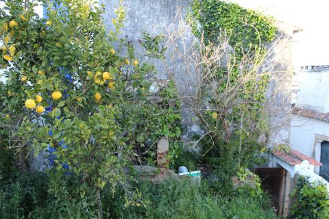 Helårsgrund i Obidos, Leiria, Obidos - € 85.000 | Ref: 44651 - foto 14