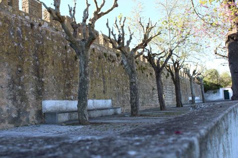 Helårsgrund i Obidos, Leiria, Obidos - € 85.000 | Ref: 44651 - foto 22