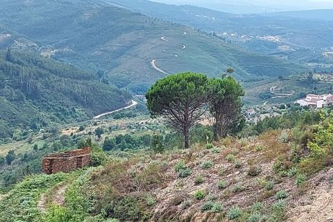 Helårsgrund i Arganil, Coimbra, Arganil - € 49.500 | Ref: 56186 - foto 2