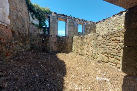Byhus i Tabua, Coimbra, Tabua - € 75.000 | Ref: 61847 - foto 5