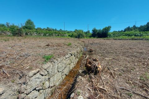 Byhus i Tabua, Coimbra, Tabua - € 75.000 | Ref: 61847 - foto 13