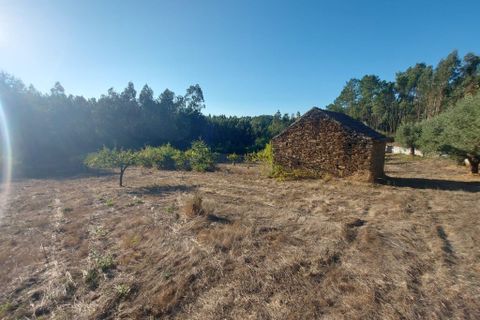 Terra a Arganil, Coimbra, Arganil - € 47.500 | Ref: 66111 - foto 2