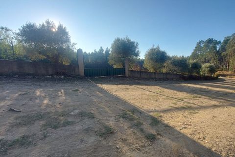 Terra a Arganil, Coimbra, Arganil - € 47.500 | Ref: 66111 - foto 3