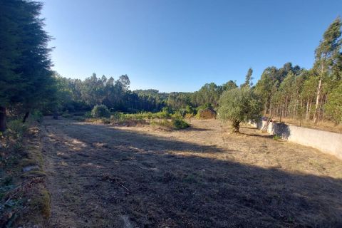 Terra a Arganil, Coimbra, Arganil - € 47.500 | Ref: 66111 - foto 4