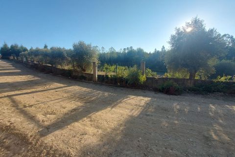 Terra a Arganil, Coimbra, Arganil - € 47.500 | Ref: 66111 - foto 5