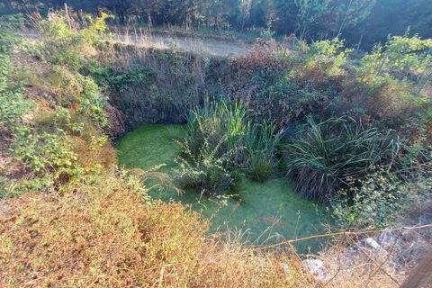 Terra a Arganil, Coimbra, Arganil - € 47.500 | Ref: 66111 - foto 6