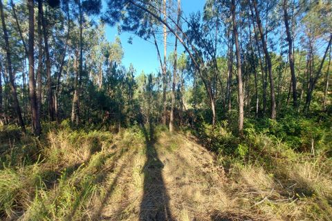 Terra a Arganil, Coimbra, Arganil - € 47.500 | Ref: 66111 - foto 7