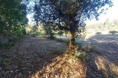 Terra a Arganil, Coimbra, Arganil - € 47.500 | Ref: 66111 - foto 8
