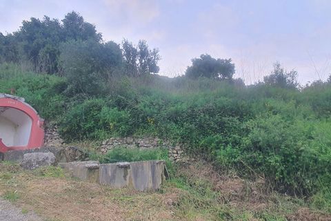 Farm i Mafra, Lisbon, Mafra - € 650.000 | Ref: 64865 - foto 2