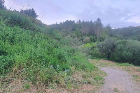 Farm i Mafra, Lisbon, Mafra - € 650.000 | Ref: 64865 - foto 3