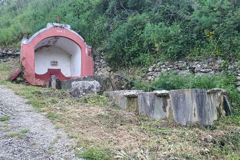 Farm i Mafra, Lisbon, Mafra - € 650.000 | Ref: 64865 - foto 4