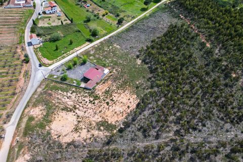 Helårsgrund i Torres Vedras, Lisbon, Torres Vedras - € 82.000 | Ref: 64461 - foto 9
