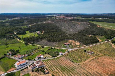 Helårsgrund i Torres Vedras, Lisbon, Torres Vedras - € 82.000 | Ref: 64461 - foto 14