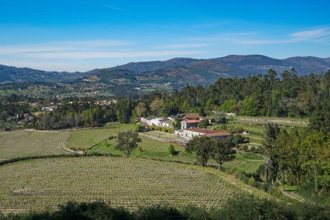 Farm i Amares, Braga, Amares - € 7.250.000 | Ref: 64572 - foto 2