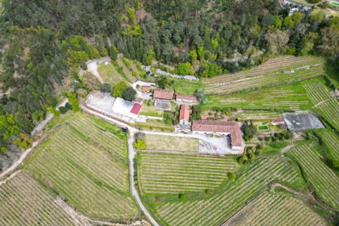 Farm i Amares, Braga, Amares - € 7.250.000 | Ref: 64572 - foto 4