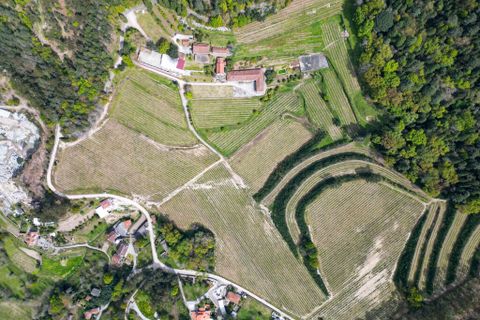Farm i Amares, Braga, Amares - € 7.250.000 | Ref: 64572 - foto 5