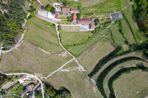 Farm i Amares, Braga, Amares - € 7.250.000 | Ref: 64572 - foto 8