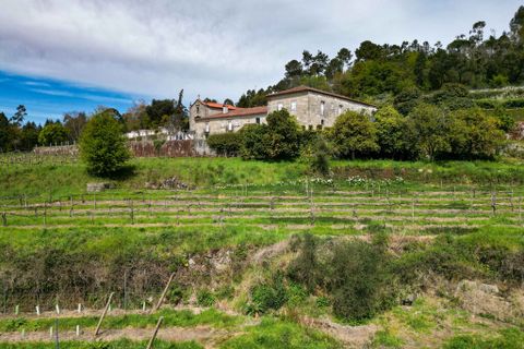 Farm i Amares, Braga, Amares - € 7.250.000 | Ref: 64572 - foto 9