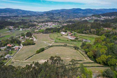 Farm i Amares, Braga, Amares - € 7.250.000 | Ref: 64572 - foto 11