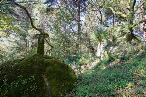 Farm i Amares, Braga, Amares - € 7.250.000 | Ref: 64572 - foto 12